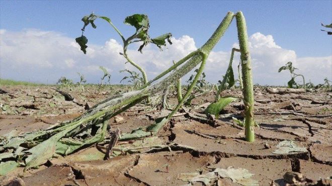 7 milyon lira afet yardım parası ödenecek