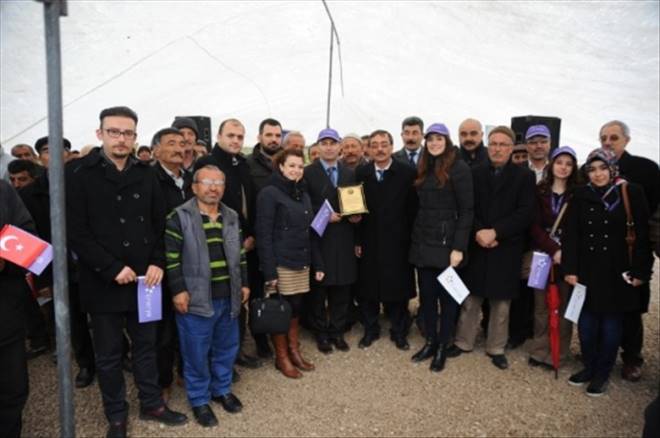 Enerya Aksaray`a Orman Kuruyor