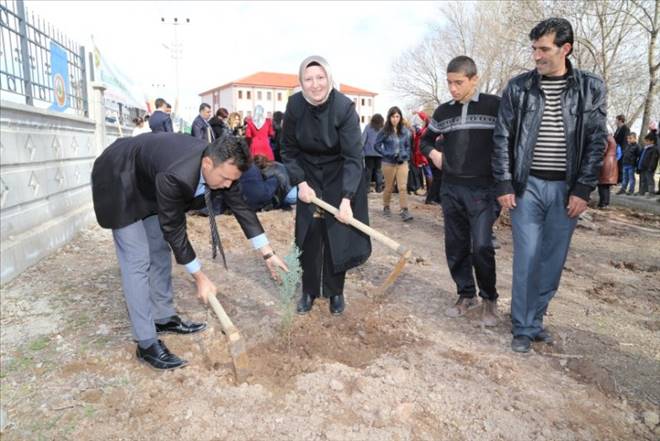 Ağaçlandırma seferberliği başladı