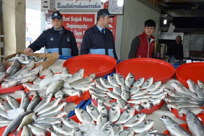 Balıkçılar Denetimden Geçiriliyor
