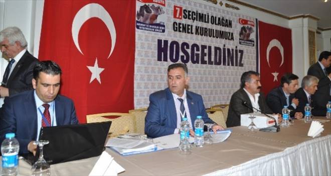 Kayan yeniden başkan seçildi
