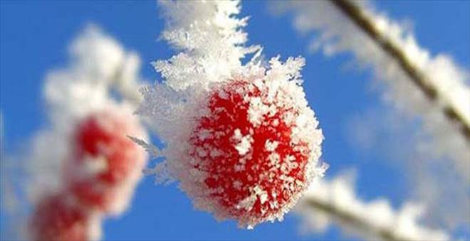 Meteoroloji zirai don uyarısında bulundu