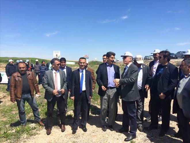 Karacaer ağaç dikti