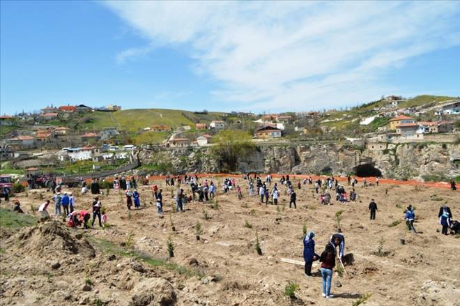 AKTED geleneksel 3. Fidan dikim şenliğini gerçekleştirdi