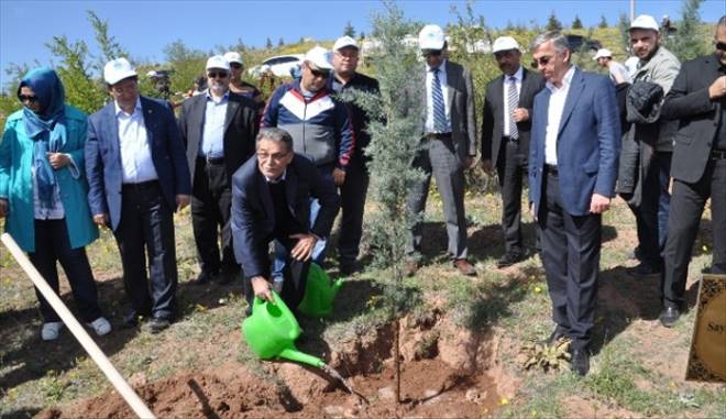 Aksaray`a Necip Fazıl Kısakürek Ormanı