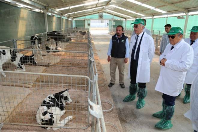 Sütaşın Aksaray yatırımları devam ediyor