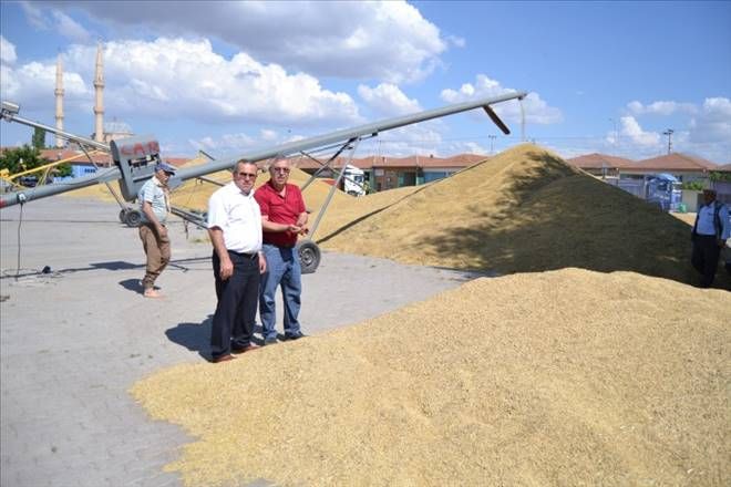 2015 Yılın ilk mahsulü arpa borsaya geldi.