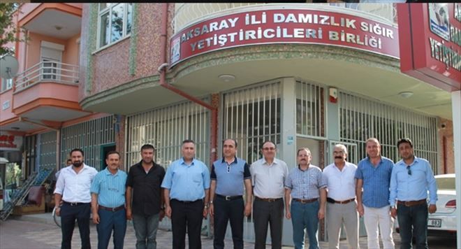 Birlikte Harekette Bereket Vardır