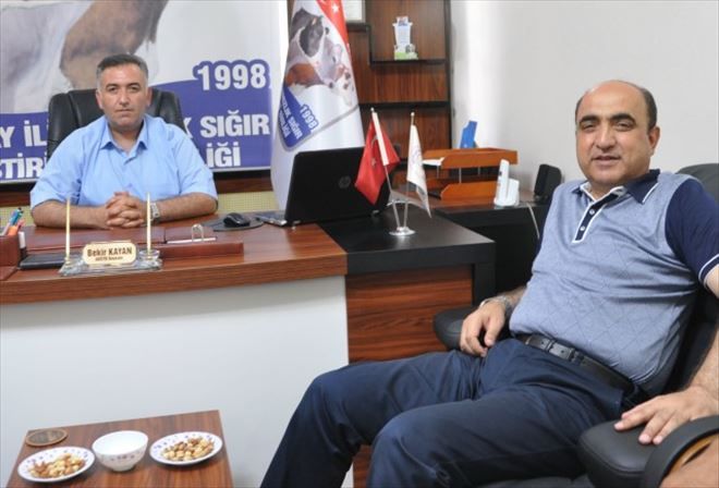 Siyasi Belirsizlik Et ve Süt Piyasasını Sarstı