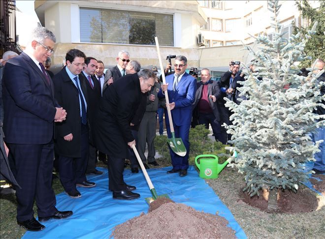   BAKAN EROĞLU´NUN AKSARAY ZİYARETİ ANISINA FİDAN DİKİLDİK