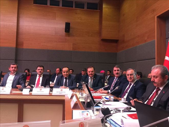 Milletvekili Aydoğdu, Meclis Anayasa Komisyonunda Gündemi Değerlendirdi..