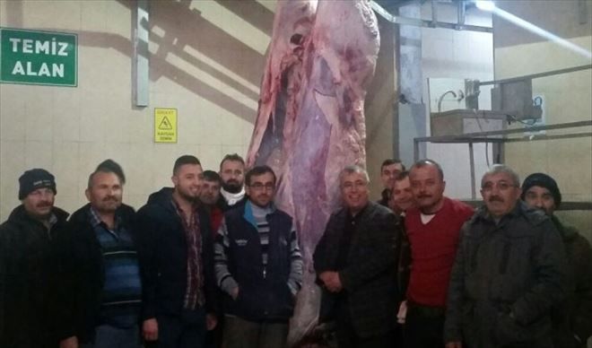 Türkiye de, Kırmızı Ette Rekor Aksaray´ın 