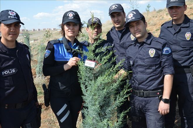 Her Şehidimiz İçin 10 Fidan