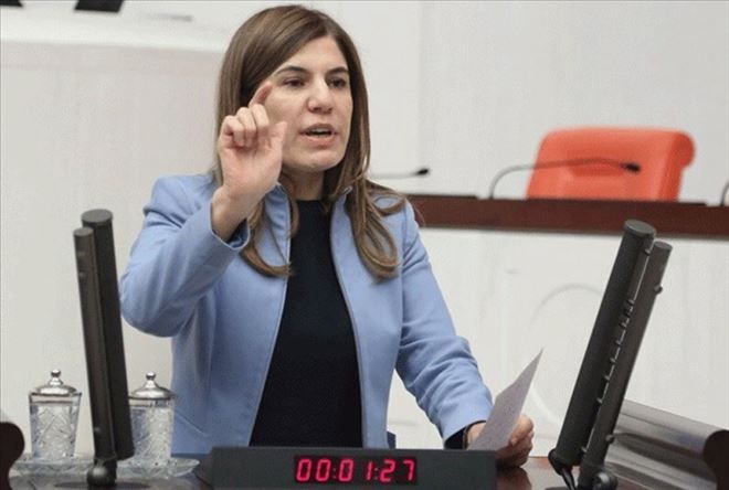 İnceöz, aydınların bildirisi üzerine bir açıklama yaptı