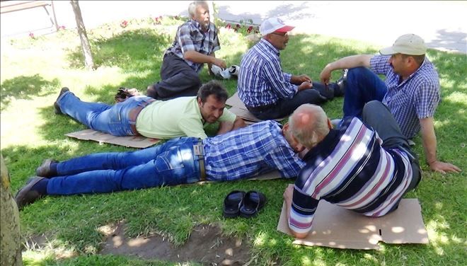 Sıcaktan bunalanlar parklarda gölgeye yatıyor  