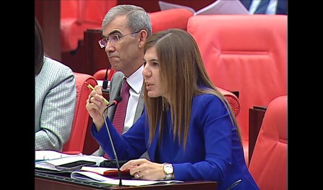 İnceöz´den batı basınına tepki: Hadi oradan!