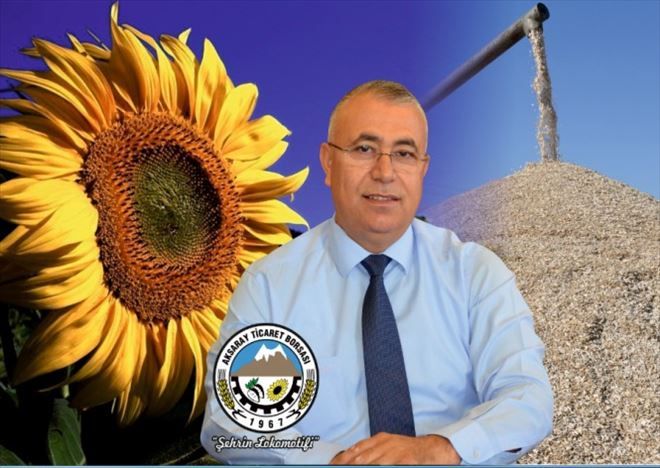 Sarı Altının Hasadına Başlandı