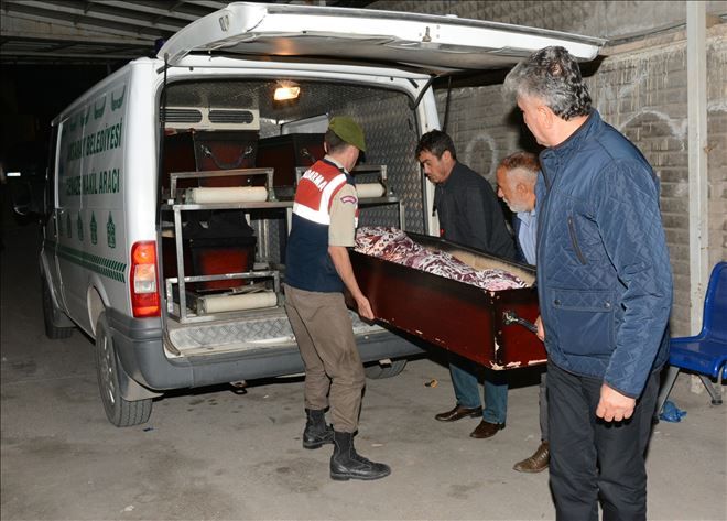  Yayaya çarpıp öldüren sürücü, düşürdüğü plakadan yakalandı