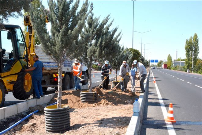 Nevşehir Yolu Üzerindeki Orta Refüj´de Yeşillendirme Çalışmalarına Devam Ediyor