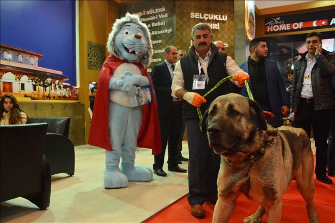 EMITT´in Gözdesi Yine Malaklı Oldu
