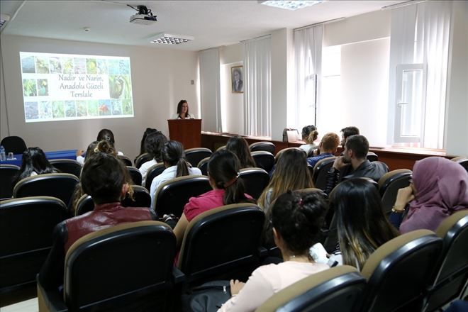 Bölgede Yeşil Az Ama Bitki Çeşitliliği Oldukça Fazla 