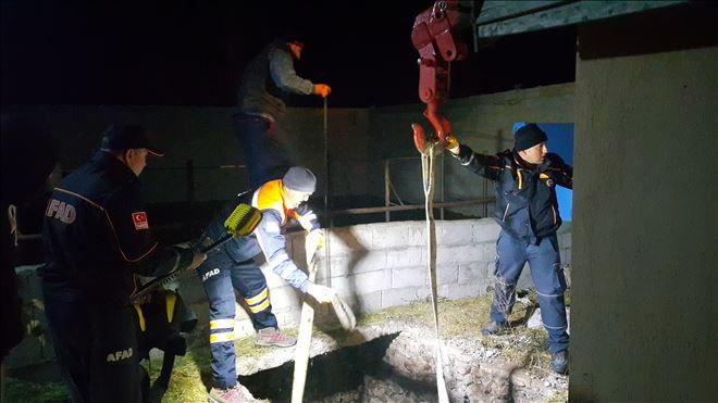 AFAD Ekipleri Kuyuya Düşen Boğayı Kurtardı