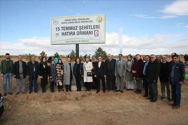 Fidan dikimi yapıldı