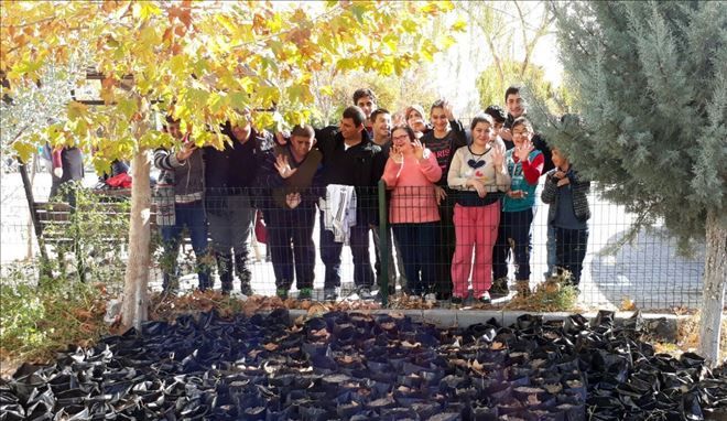 Zihinsel Engelli Çocuklar Ağaç Dikti Onlarında Dikili Bir Ağaçları Var