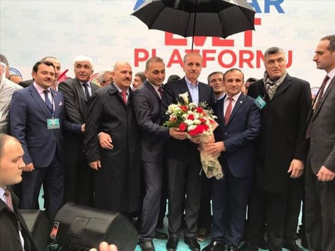 Yaşar AVCU 