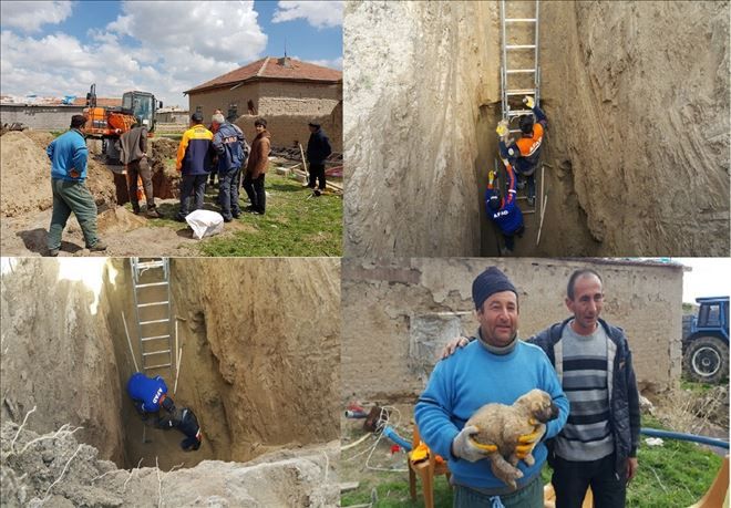 Kuyuya Düşen Yavru Köpek Kurtarıldı