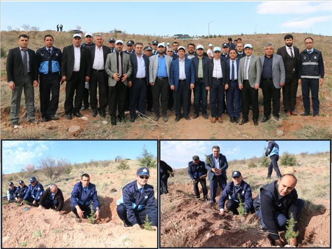 Zabıtalar Şehitler Anısına Fidan Dikti