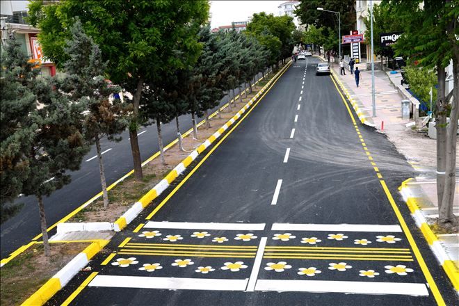 Papatyalı Yaya Geçitleri Çok Beğenildi  
