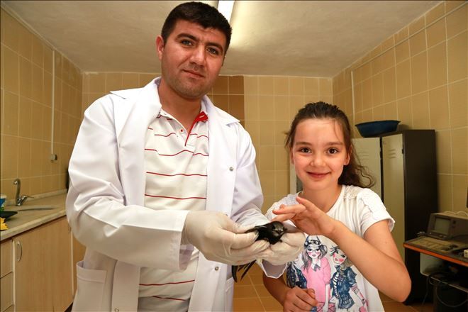 Küçük Merve´den örnek davranış.. 
