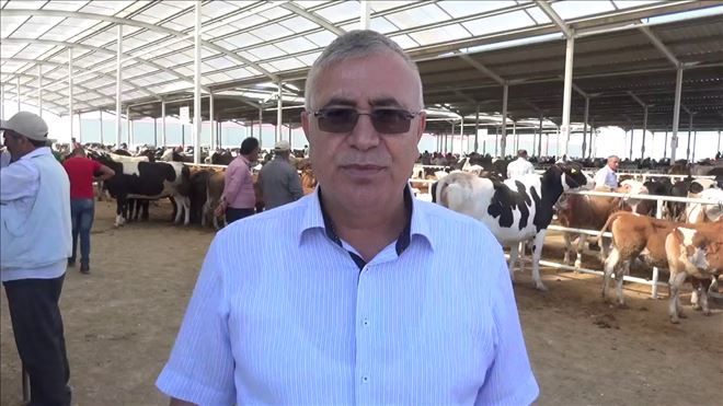 Kurbanlıklar Görücüye Çıktı,Kurbanlıkta Sıkıntı Yok