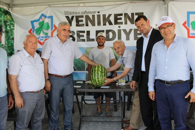 Kırk Bin Kere Maşallah Karpuz 20 Kilo