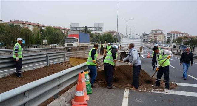 E-90 Kara Yolunda Peyzaj Çalışmaları Başladı