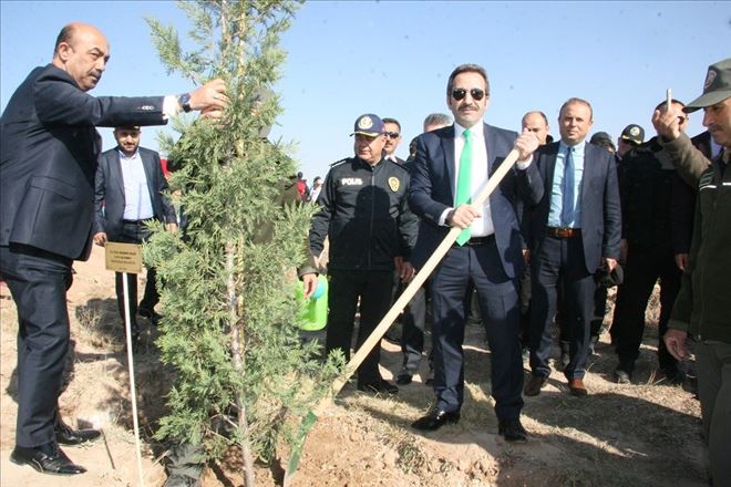 Fidanlar Fidanlarla Büyüyor