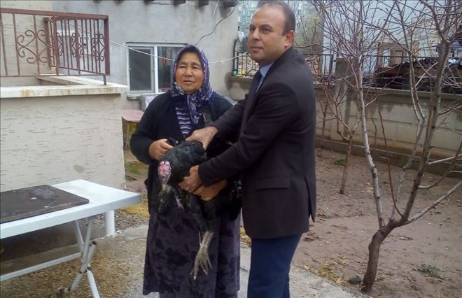 Fadik Sert´in Feryadını Tarım İl Müdürü Duydu