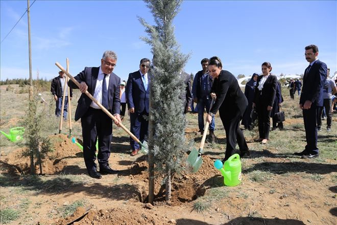 Daha yeşil bir Aksaray için fidanlar toprakla buluştu 
