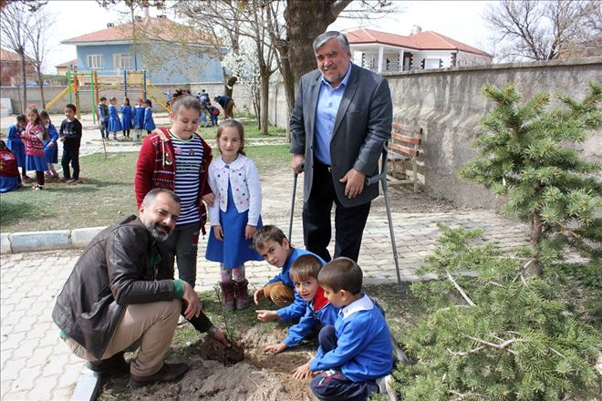 Onlarında Bir Dikili Ağacı Var