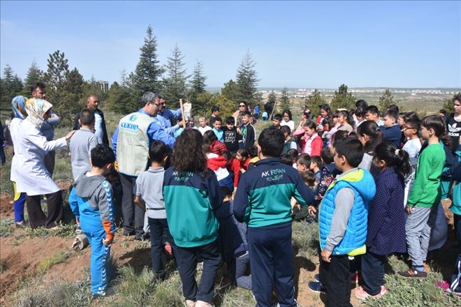 Ak İrfan Koleji   DİKİLİ AĞACIM VAR dedi