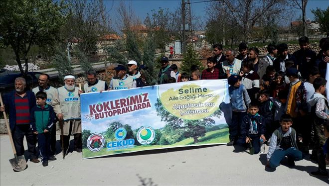 81 ilde 100 bin gönüllü, 100 bin fidan dikimi yaptı.