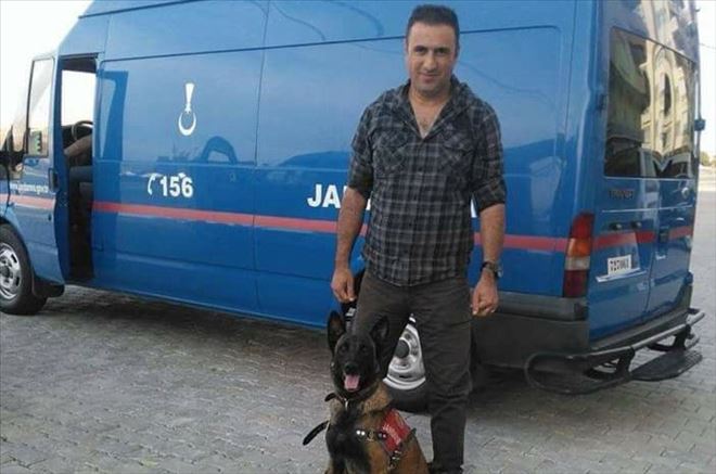 Niğde´ye Şehit Ateşi Düştü