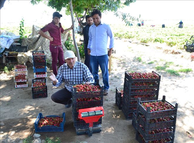 Mevsimlik İşçiliğinden Patronluğa Uzanan Yol 