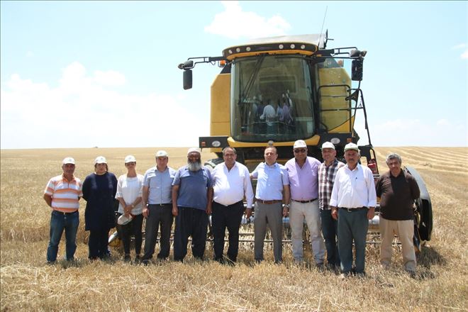 Aksaray´da 2018 yılı hasat dönemi başladı