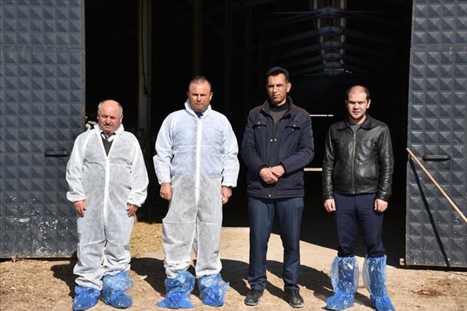 150 Büyükbaş Hayvan´dan Günlük 3 Ton Süt Üretiyor 