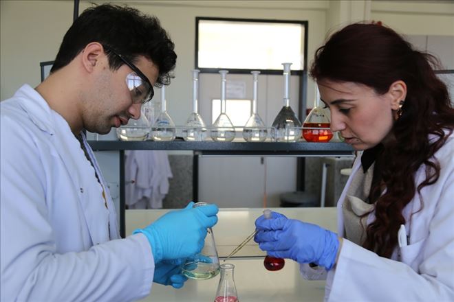 Hayvan Hastanesi Fizibilite Projesi Uygulama Süreci Başladı 