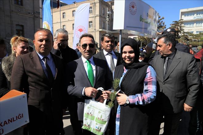 Yeşil Aksaray Oluşturulması İçin Çam Fidesi Dağıtıldı