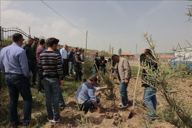 Bağlıkaya ve Çimeli Yeniköy Okullarına 104 Fidan Dikildi