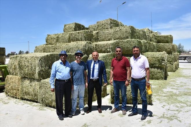 Aksaray Yoncası Dubai ve Katar´a gidiyor 